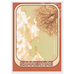 02253cca-9c63-49f9-957b-d1af6f985264