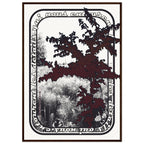 0877c360-1803-4b20-bb30-c198d1d680b1