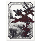 08ae8152-e576-4644-9d6e-7e2a665e44e4