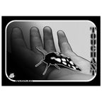 1fe35c4f-831b-4bc0-a4ef-dc281c8eac84