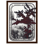 232fd39e-6dce-44b8-a0d7-2079131fa97e