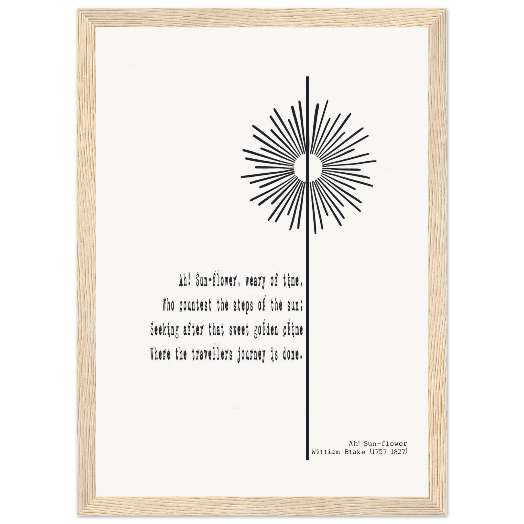 44c6b393-7f7f-456c-a61e-519b34715837