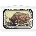 4809ae92-e221-453c-b54e-77118ecb7b77