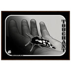 4d94d266-ca14-4f02-82b9-0c1a10cd2c64