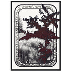 50d6dd9a-164d-4af1-be4a-221ada46e642