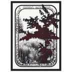 551106fa-94d1-46ae-a9e5-2377e31dd9cb