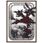 558e5183-8b00-4086-8dad-11beca13823e