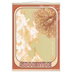 64b092f8-6d95-4e7c-9c0e-5811d2f1e8f2