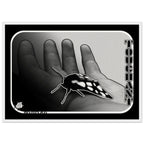 69334cdb-33ba-496a-83f1-304fad5c7b21