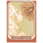 72aefc41-a8fd-445c-b734-572d5347255e