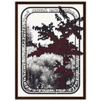 8287314b-642a-43b1-9ee1-59bf9d707acb