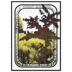 83c5c164-6a2d-4b3c-ad4a-dae09bcf7d0a