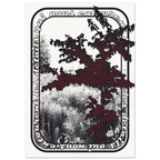 85d83cb6-d9e9-4e3e-b4e3-866841059b9d