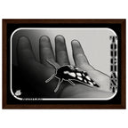 87c1c2d7-9ae8-4dad-8dfc-a7624577b141