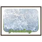 917359e8-e8fc-418e-8296-f0e5988d06e1