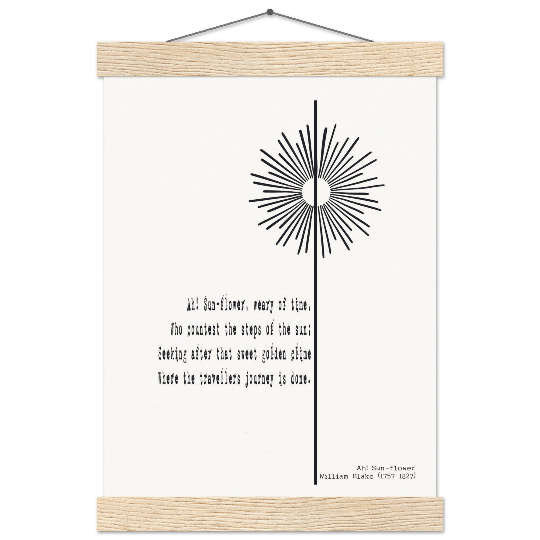 95b41187-c7df-41ee-9b35-926a4f9c7702