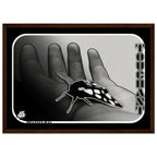 983ae4a3-85f3-4ae2-a3c5-3490956c09ec