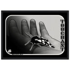 9c35e1b6-f60c-4e6f-ae37-a853faf18e5d