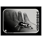 a1062d89-54d9-4f7d-92a1-a2448473df0d