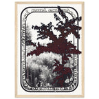 a55bc643-96b6-430b-a755-897f9ba794f0