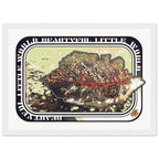 b002af3c-8fea-4f78-b89a-ef87831555e6