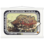 b47ec44f-9731-4587-805d-fb6f3752c0a8