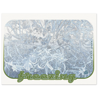 b670562f-b764-4147-b3ef-ed61cdbebd8b