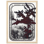 b9f45f3c-8fdc-4726-a59a-63ab7be90300