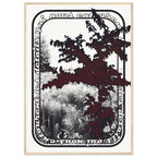 bbb5173b-4efb-462f-ac0f-d894eba1ad0c