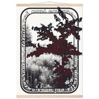 c13830a6-138b-439b-840d-66bc3d2b586e