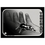 c5bb6525-8543-41b6-960b-7e485b3c7ae3