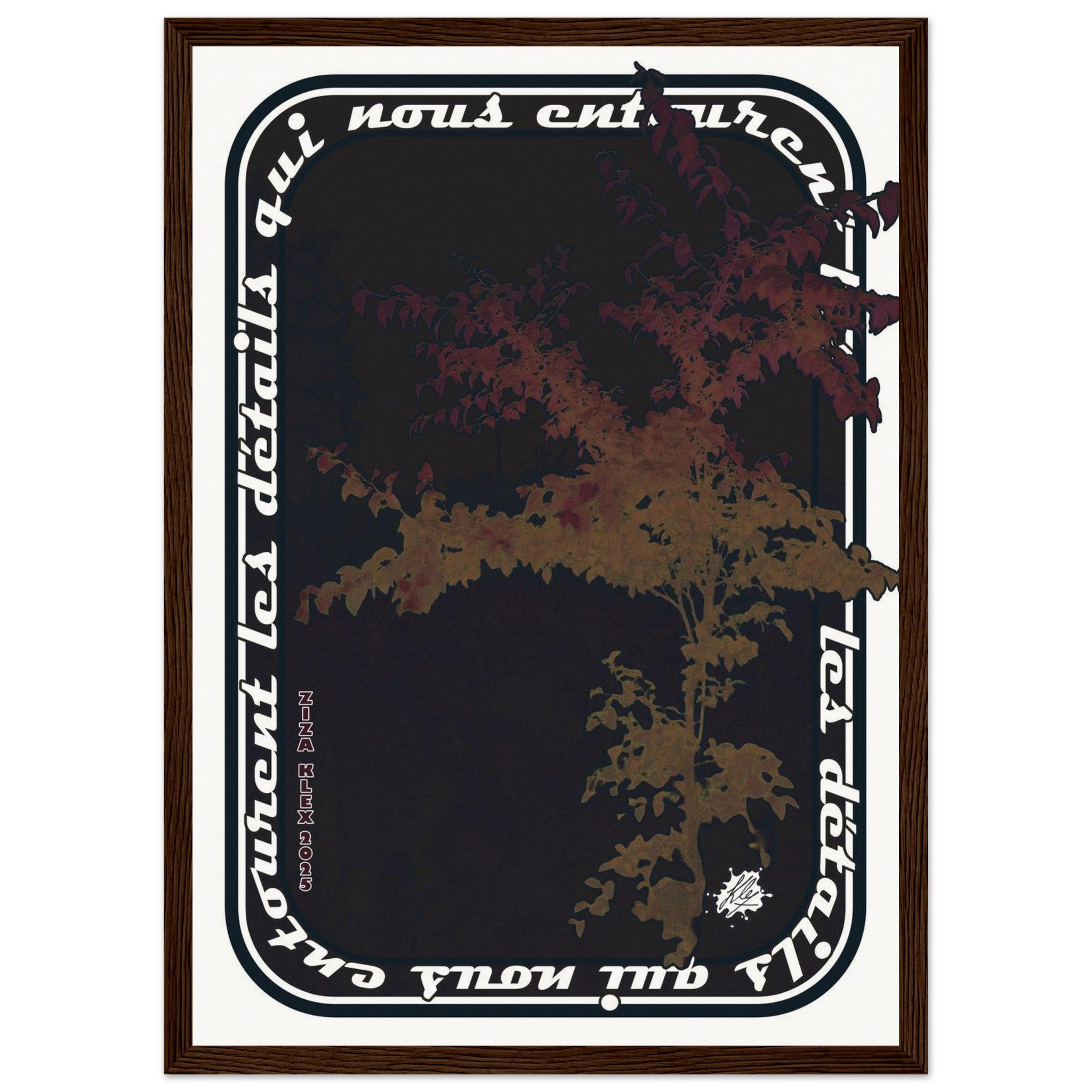 d08591d6-1025-4441-86c7-d0310e300d1b