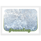 d5826afa-913f-42e7-962a-9006a9b797bb