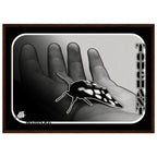 e1cd7a94-daf1-4c26-bcc1-3e6f225b6a8b