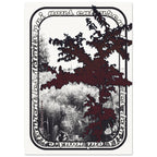 e37b77a2-0dba-41dd-90b4-74a98c01b419