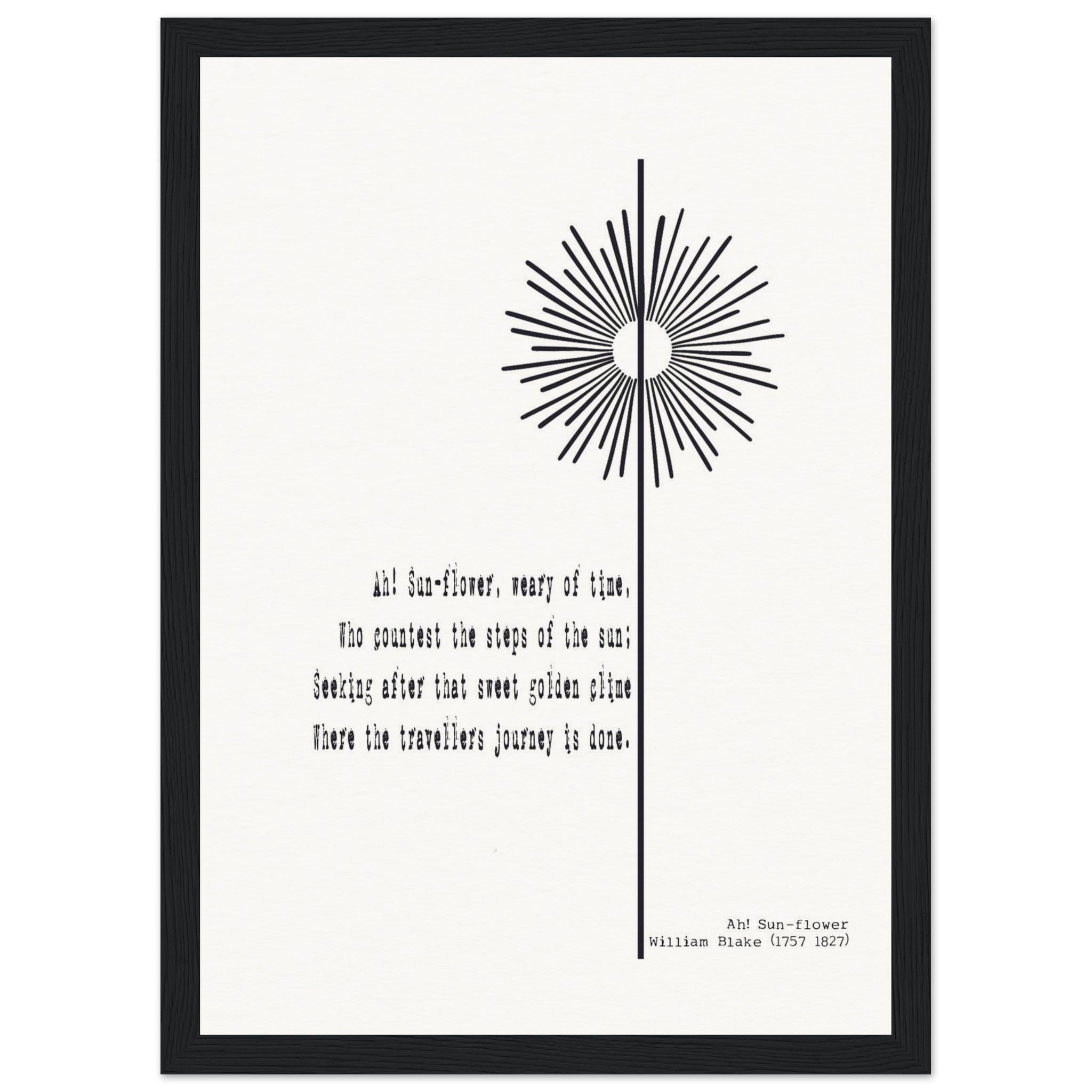 e4483a68-2ae8-4ce6-a419-89f0ede809d8