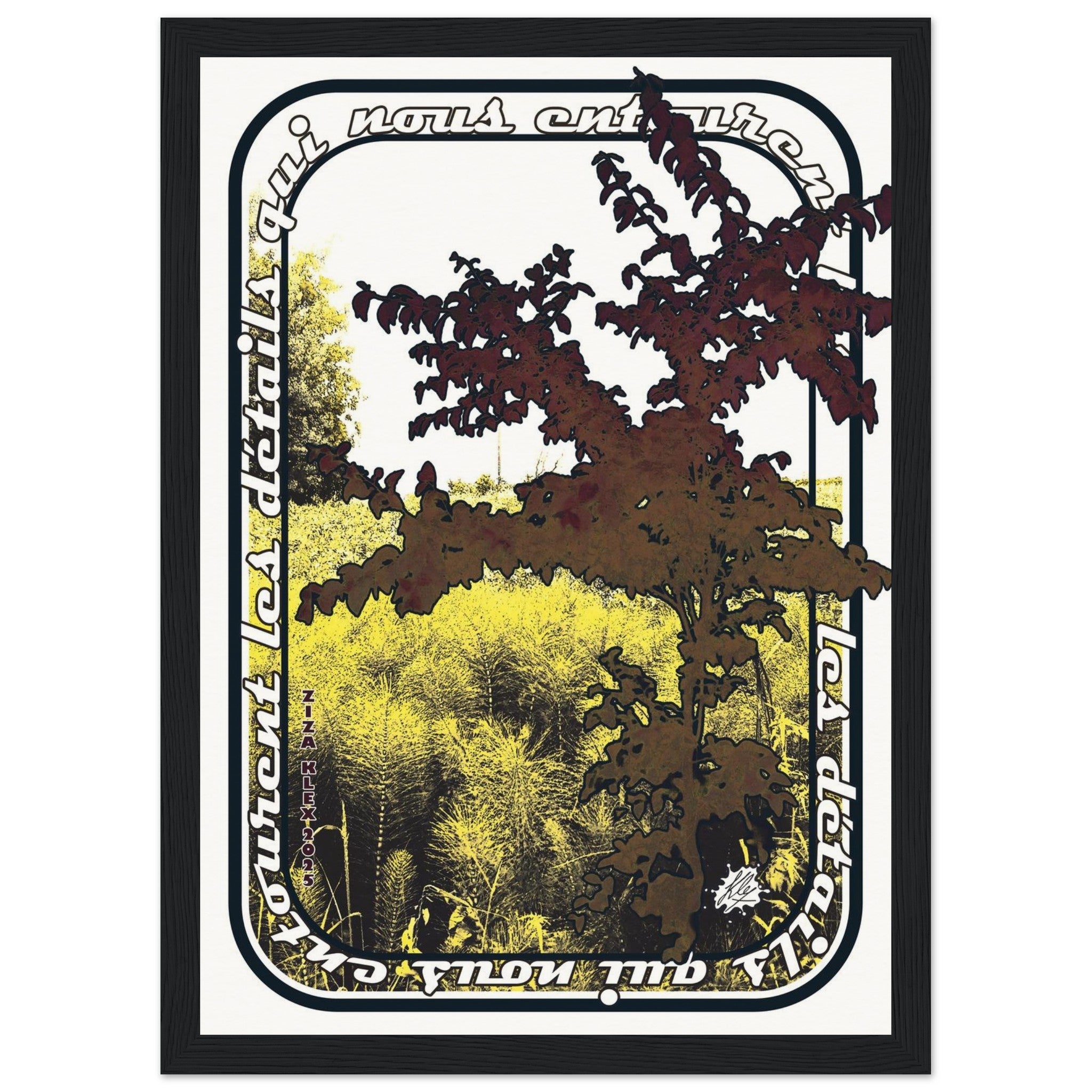 e54e9ed1-8965-464b-8d7a-d43e70d4f3bb