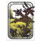 e62f5781-5393-4d57-a261-c1fc7814f538