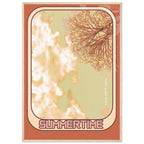 e8b19422-0545-4250-9b4e-d54d88e33cfb