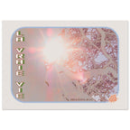 e8be2513-badb-4f8e-8142-0d797f596fa6