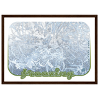 ed893414-c20f-4c05-9447-b6f2f47a9d1d