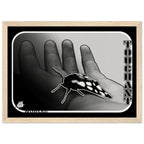 ede882ec-c23c-48ce-a378-3beec6e4c8d9