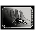 ef3d2367-b1bc-4f61-9b17-602bc7bf0c2d