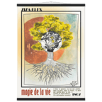 MAGIE DE LA VIE - Quality Art Print,21x29.7 cm / 8x12",earth,green,multicolored,Premium Wooden Framed Poster With Museum-Qualit(…),White frame,KLEX ART