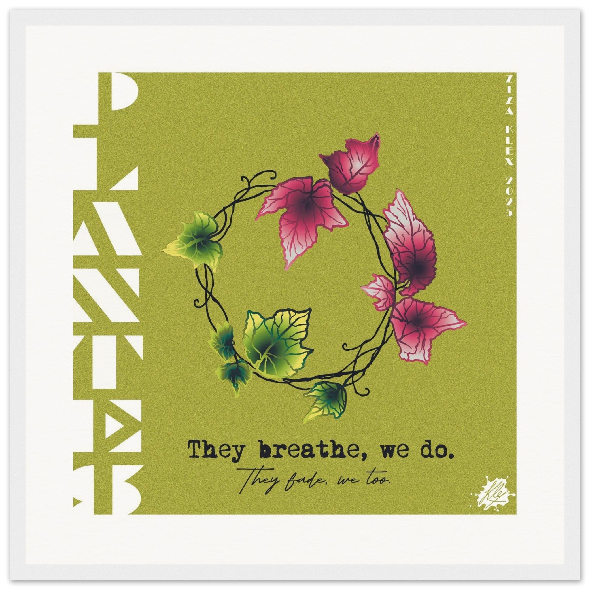 PLANTES - KLEX ART