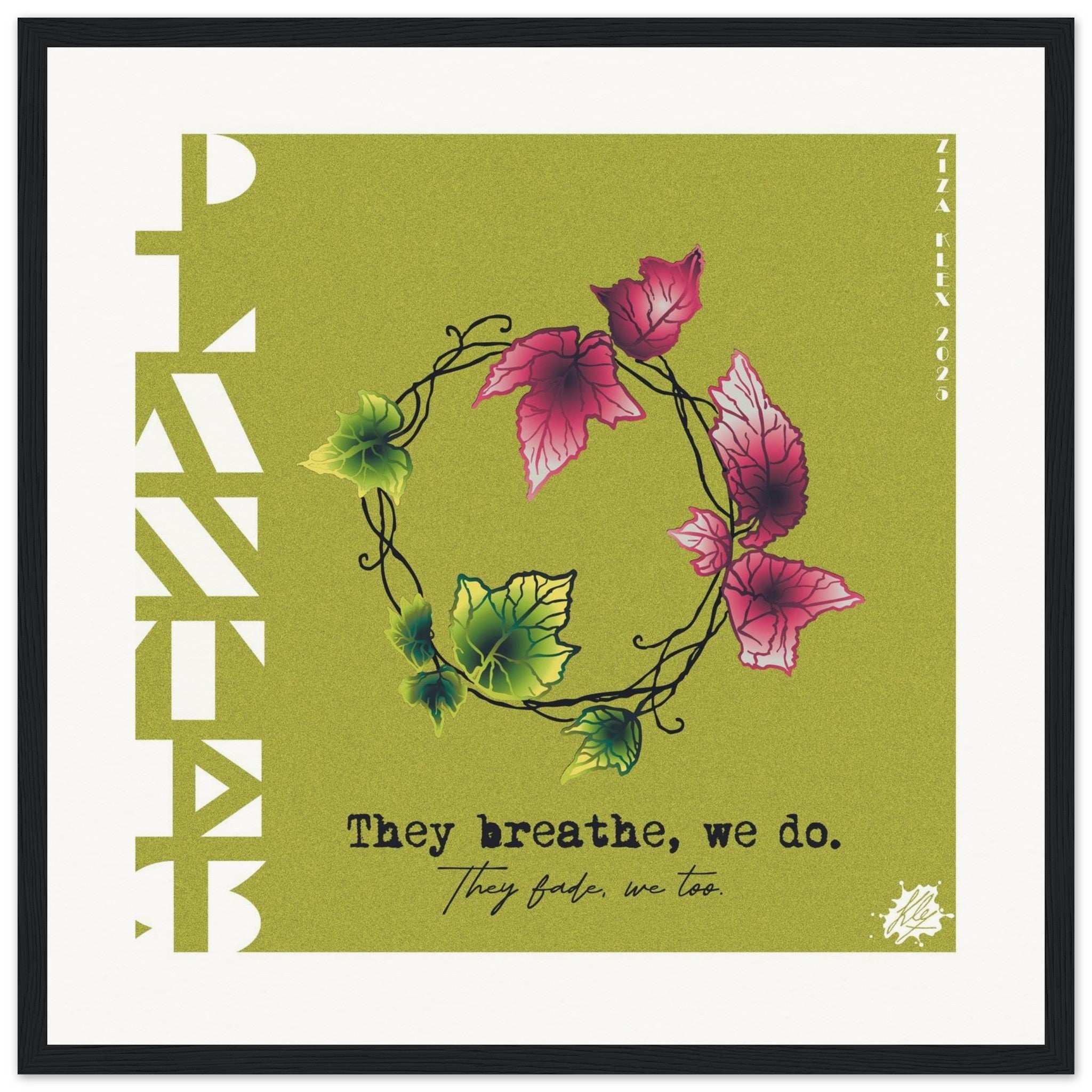 PLANTES - KLEX ART