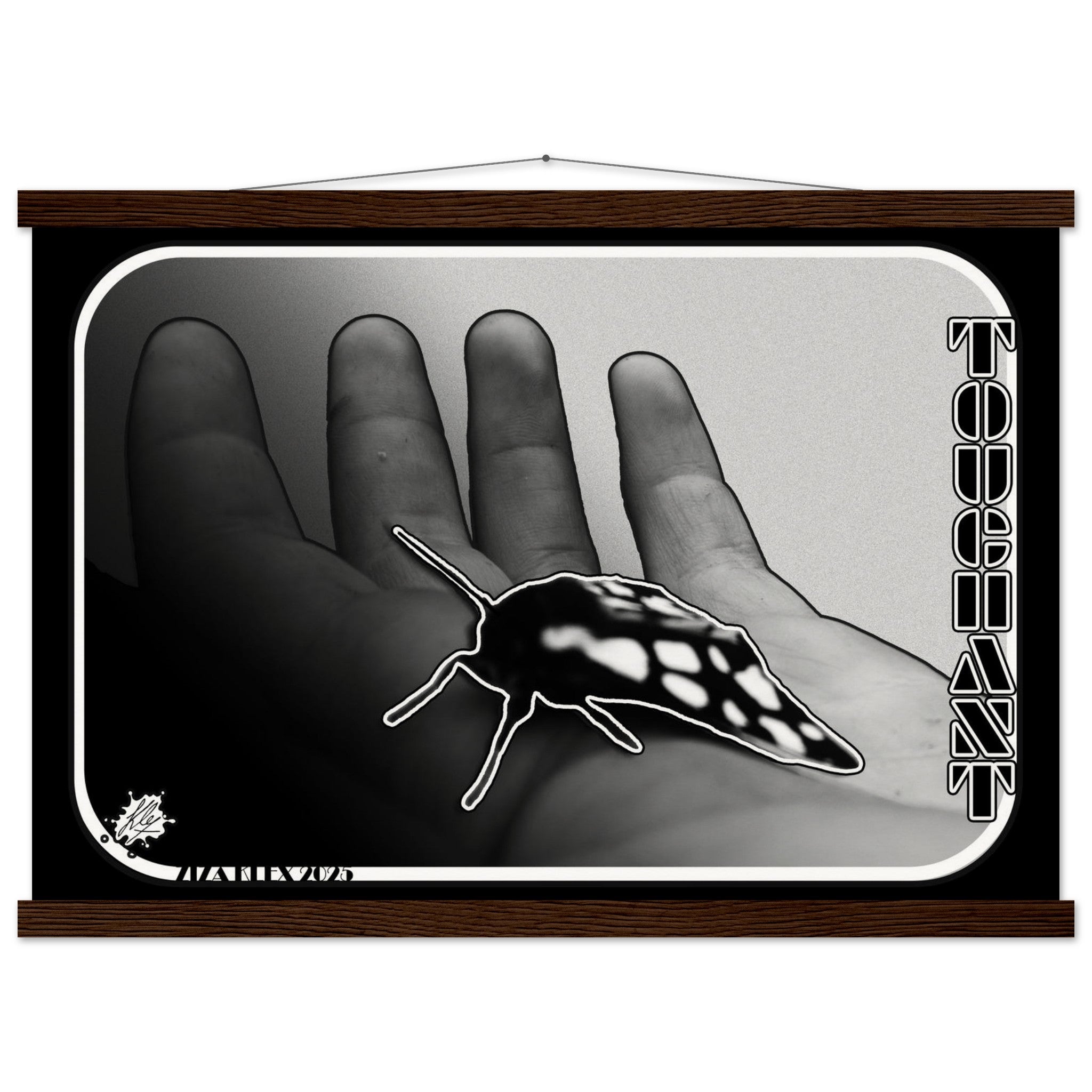 TOUCHANT - KLEX ART