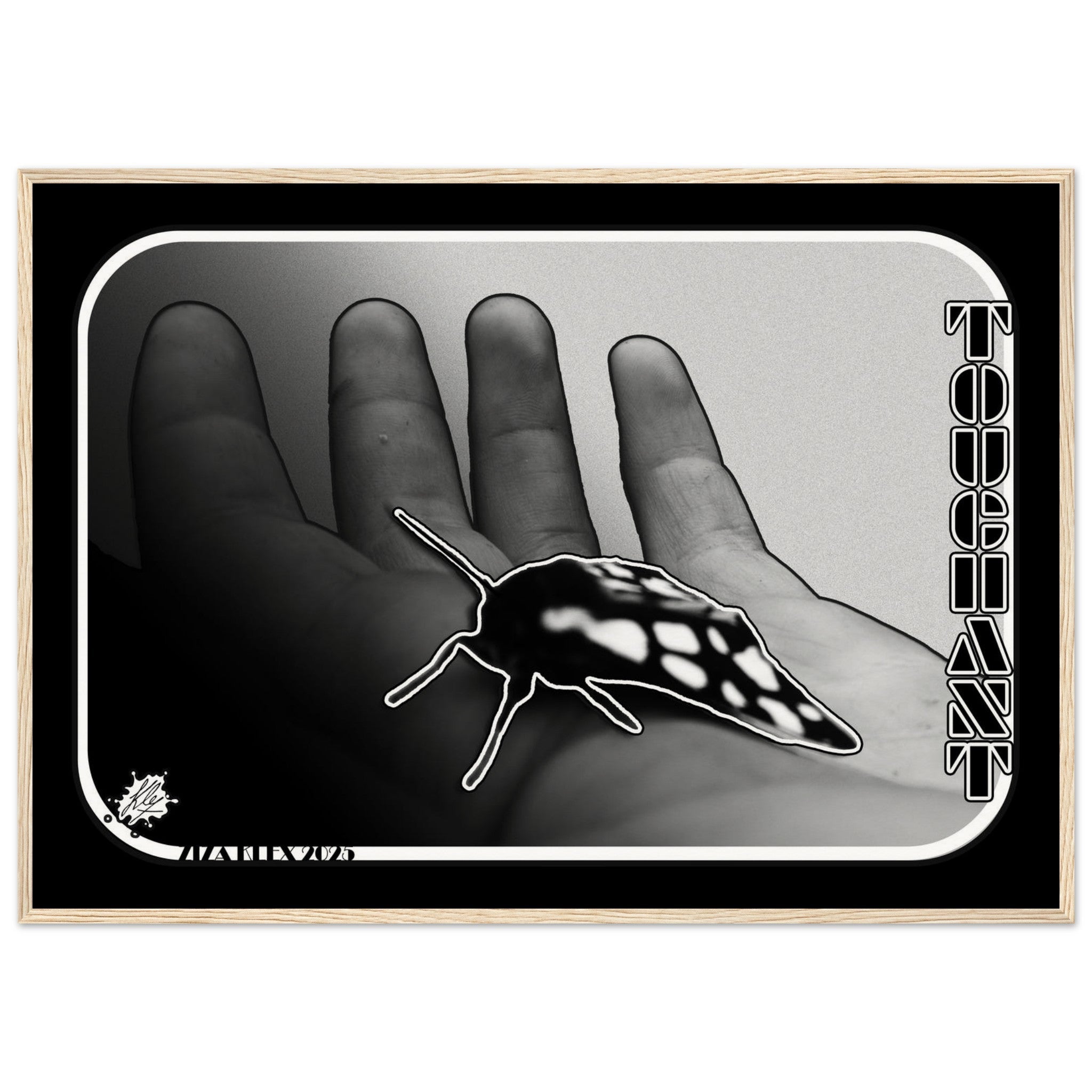 TOUCHANT - KLEX ART