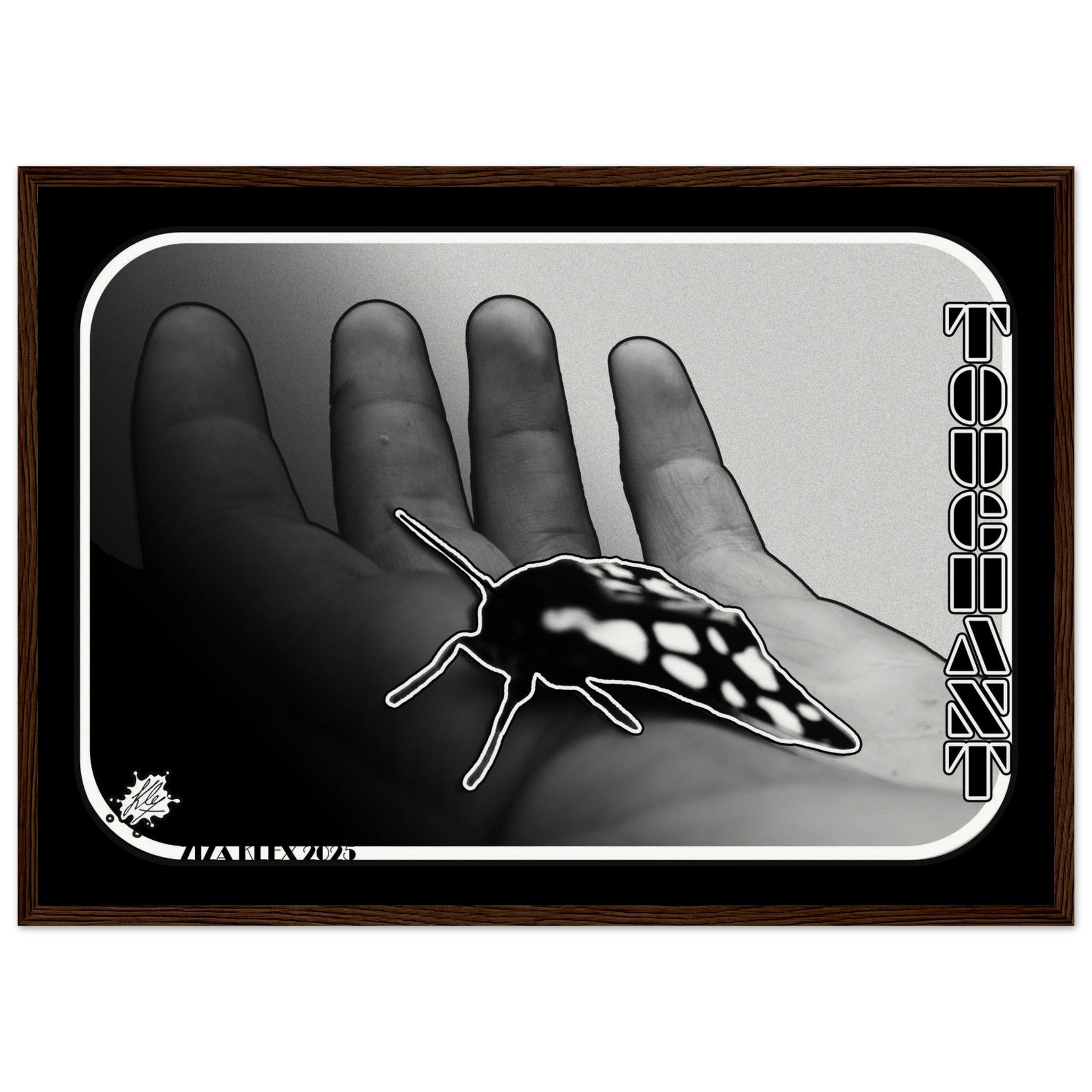 TOUCHANT - KLEX ART