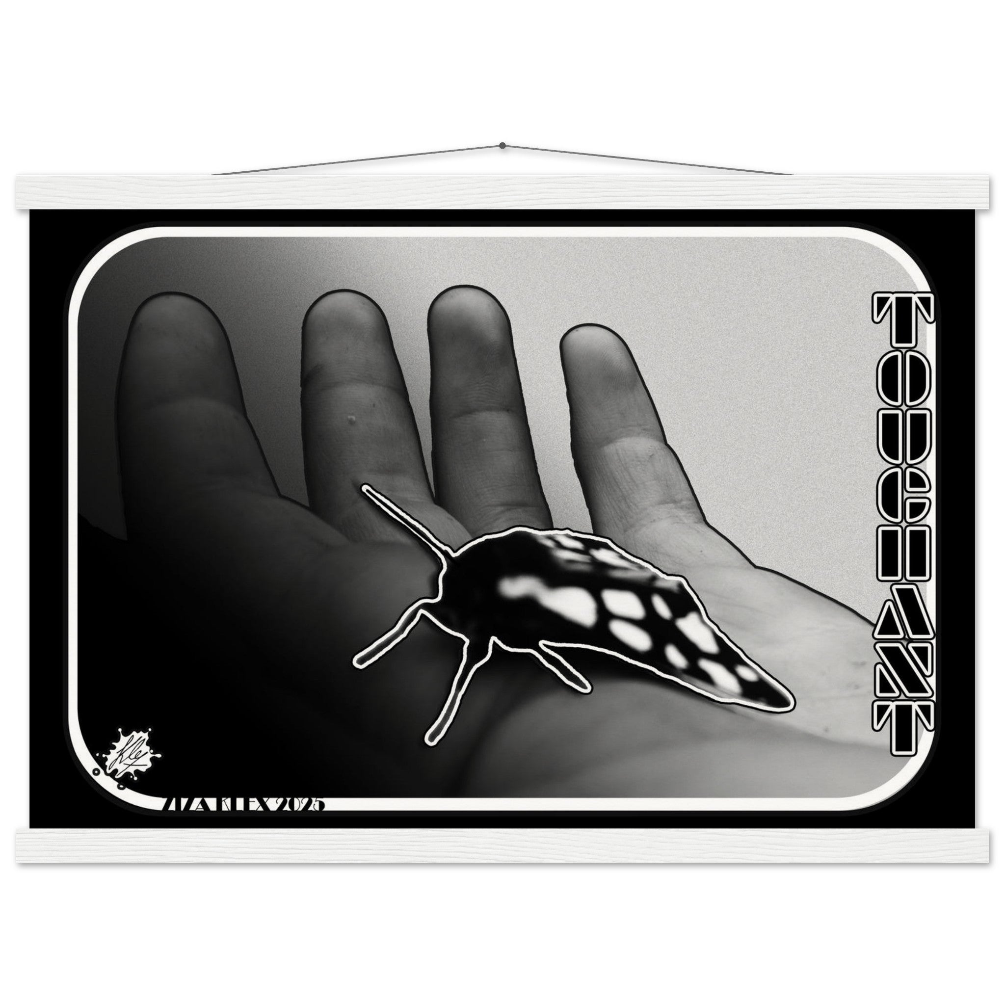 TOUCHANT - KLEX ART
